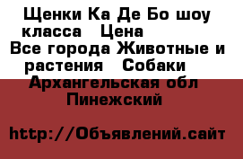 Щенки Ка Де Бо шоу класса › Цена ­ 60 000 - Все города Животные и растения » Собаки   . Архангельская обл.,Пинежский 